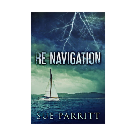 Re-Navigation - Poster