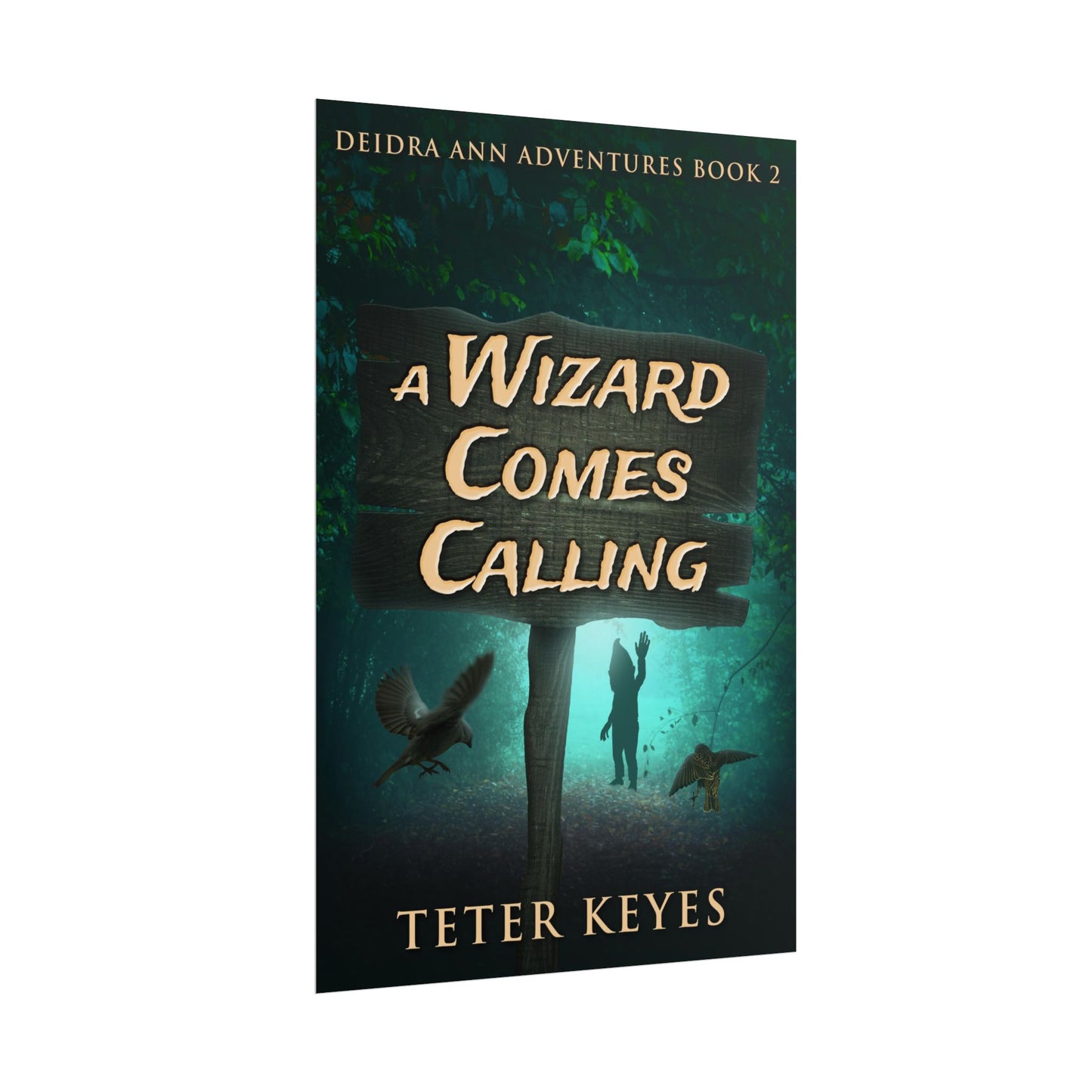 A Wizard Comes Calling - Poster