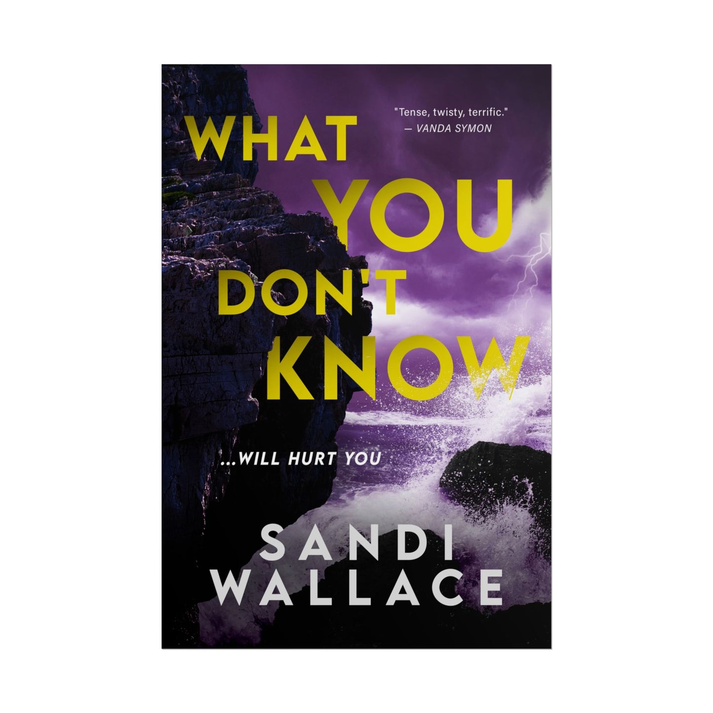 What You Don't Know - Poster