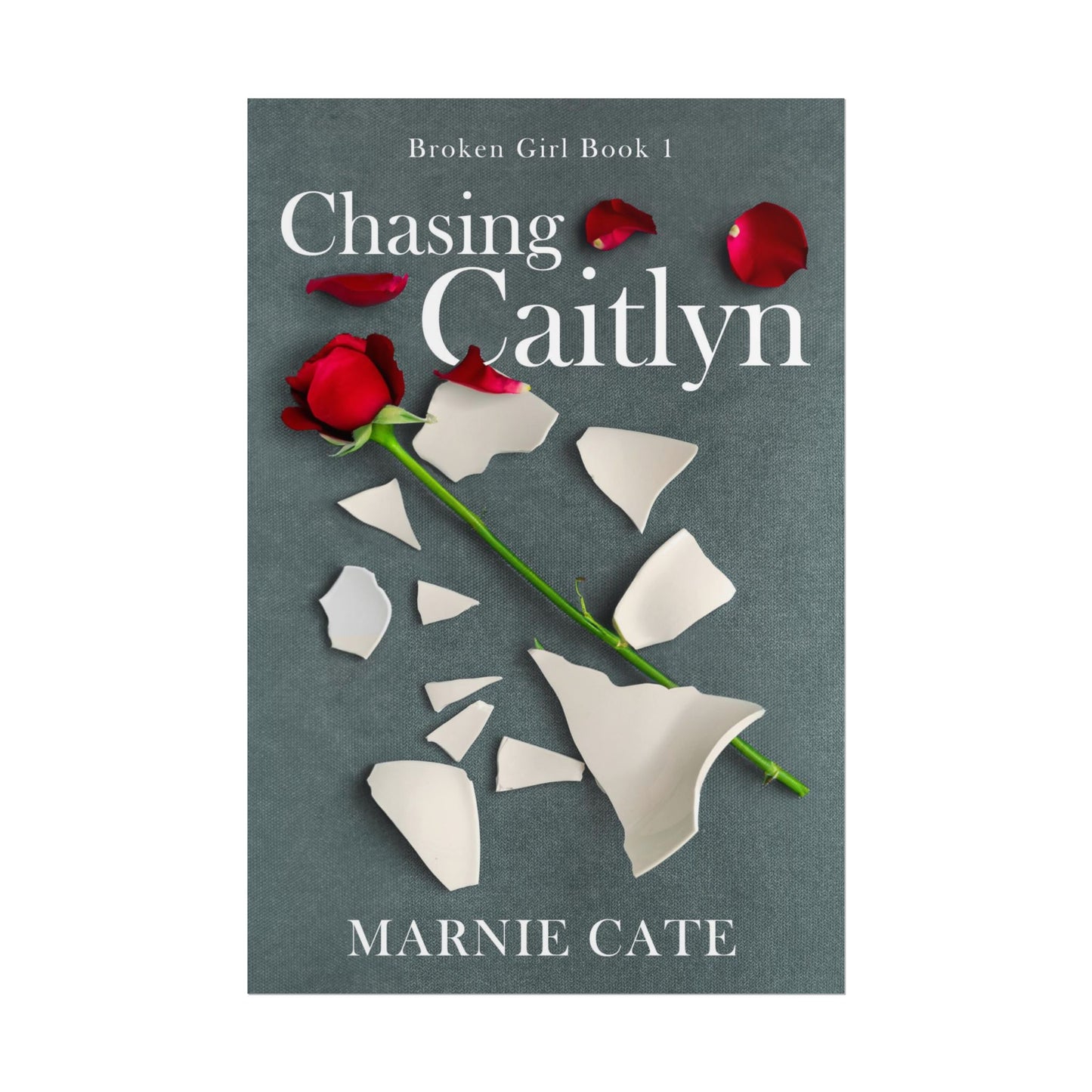 Chasing Caitlyn - Poster