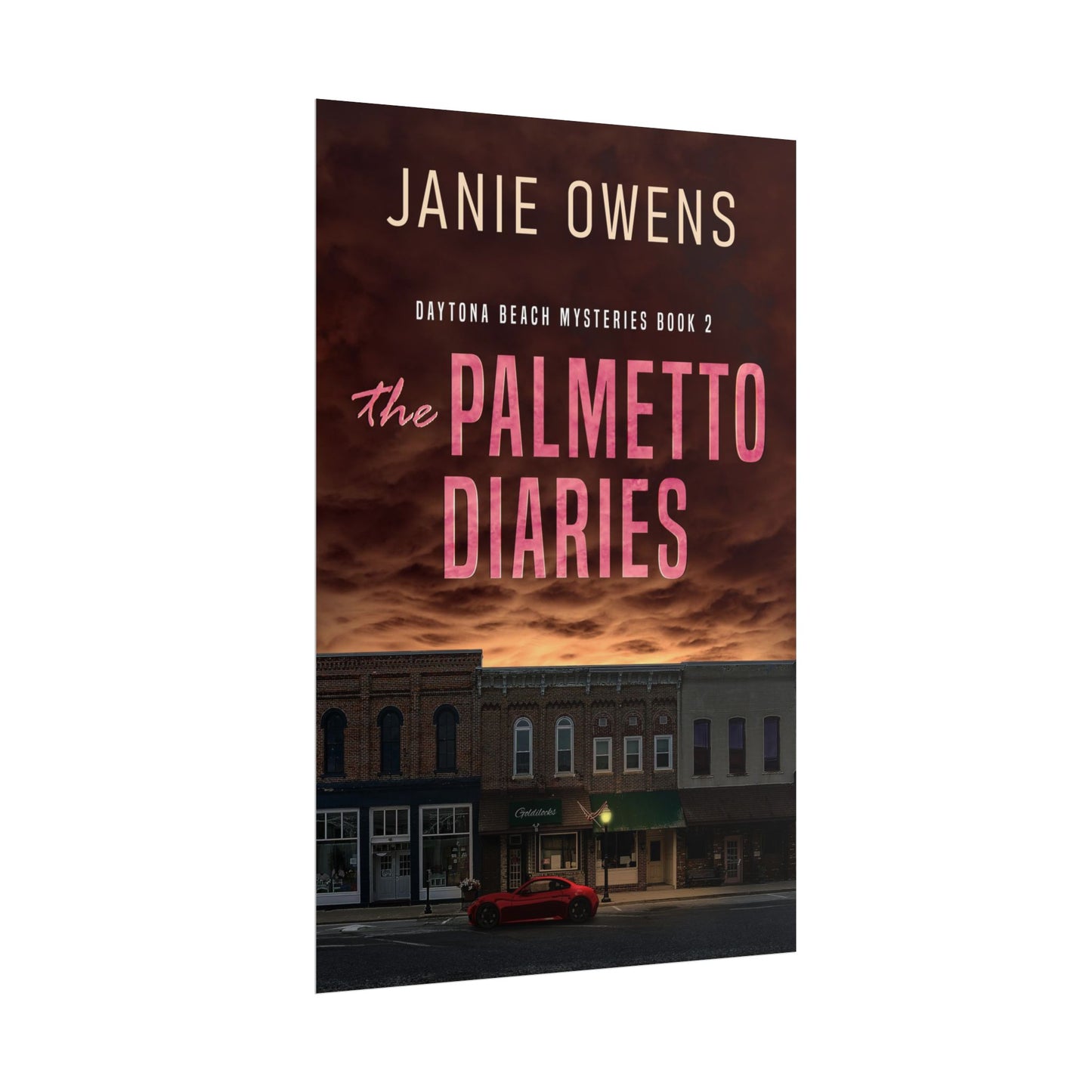 The Palmetto Diaries - Poster