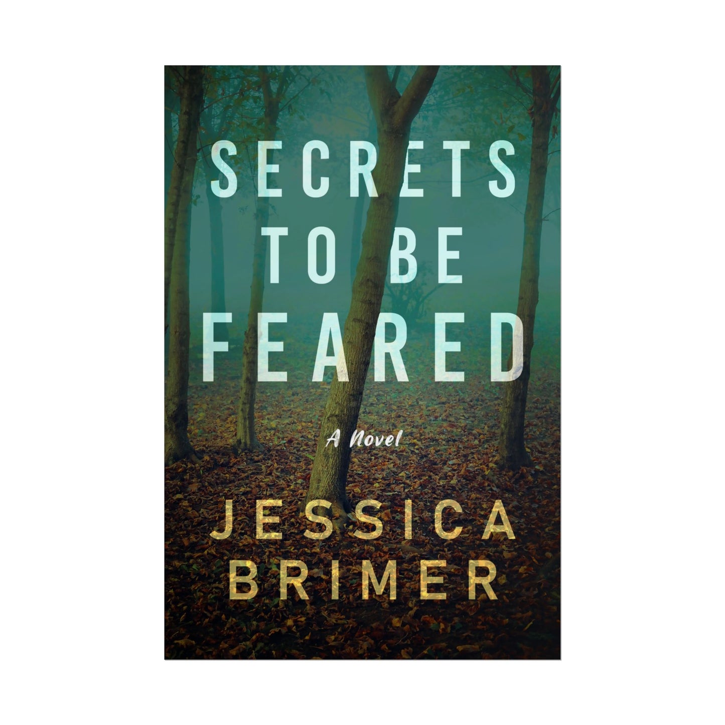 Secrets to be Feared - Poster