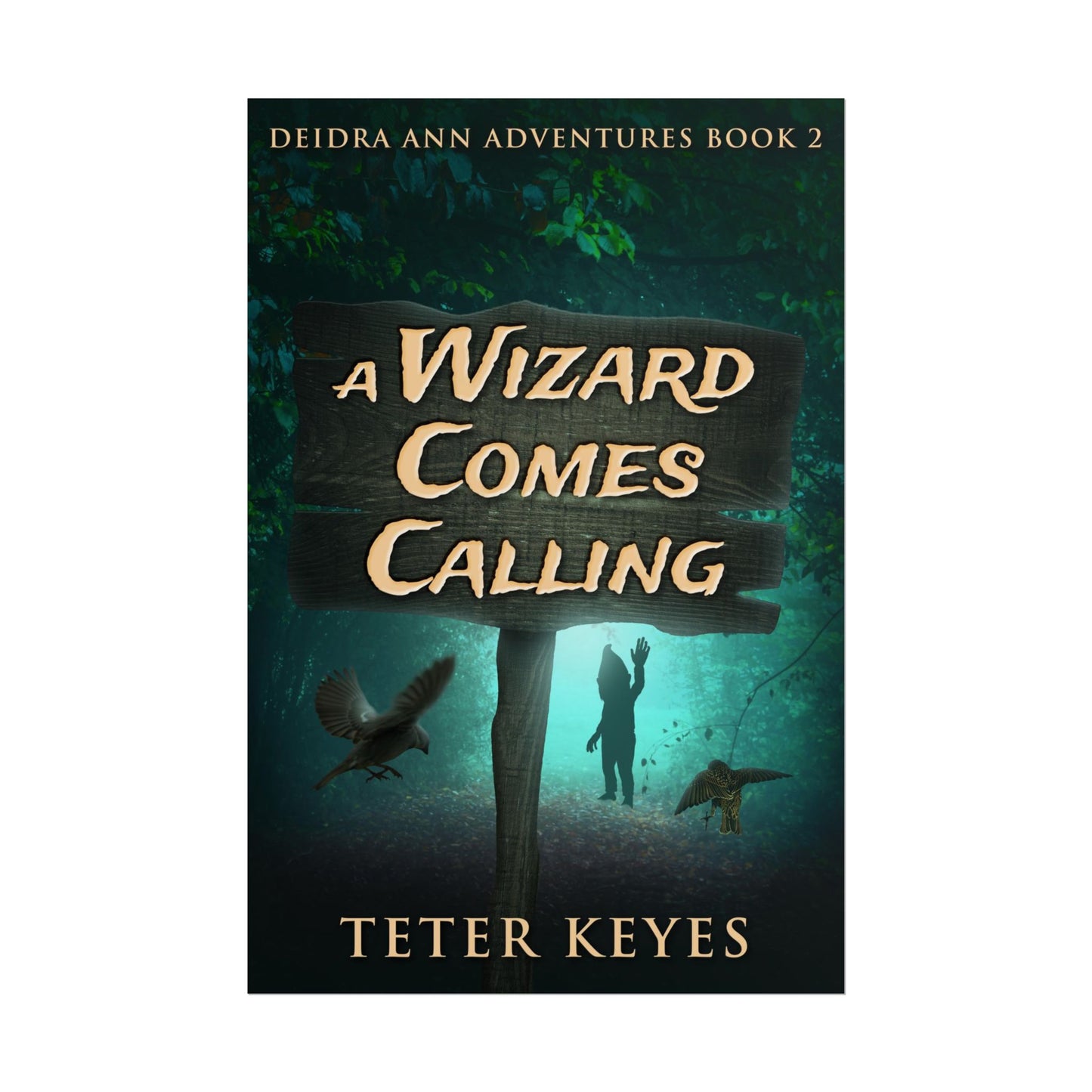 A Wizard Comes Calling - Poster