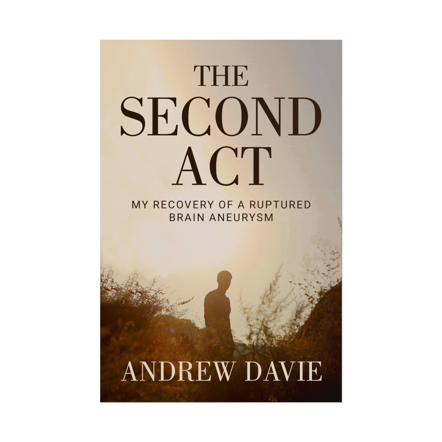The Second Act - Poster
