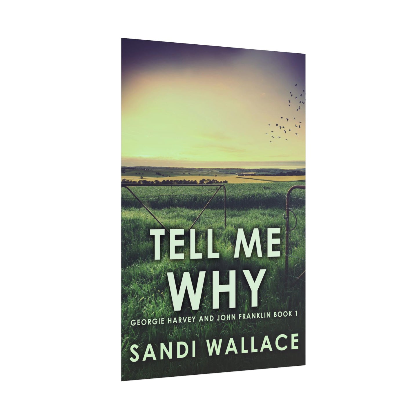 Tell Me Why - Poster