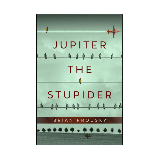 Jupiter the Stupider - Poster