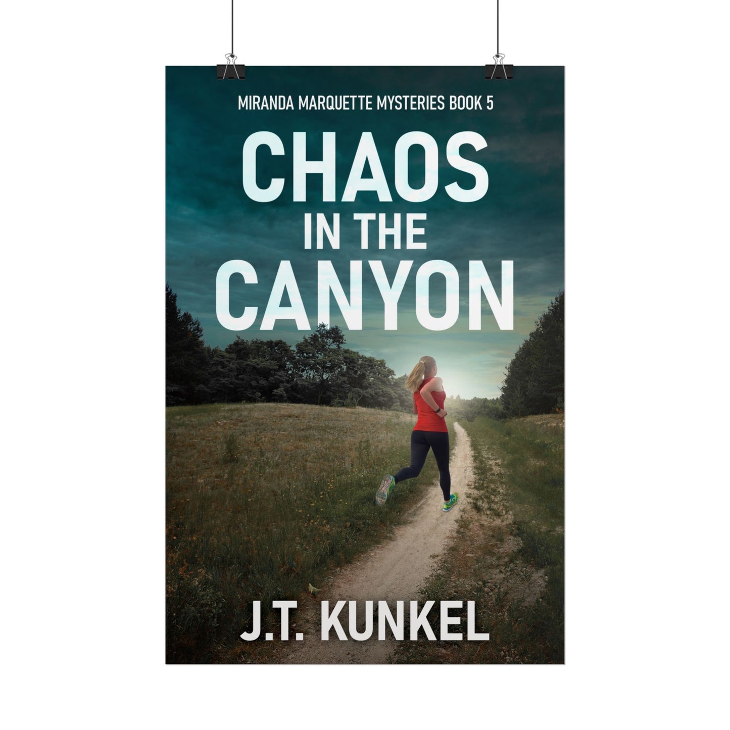 Chaos in the Canyon - Poster