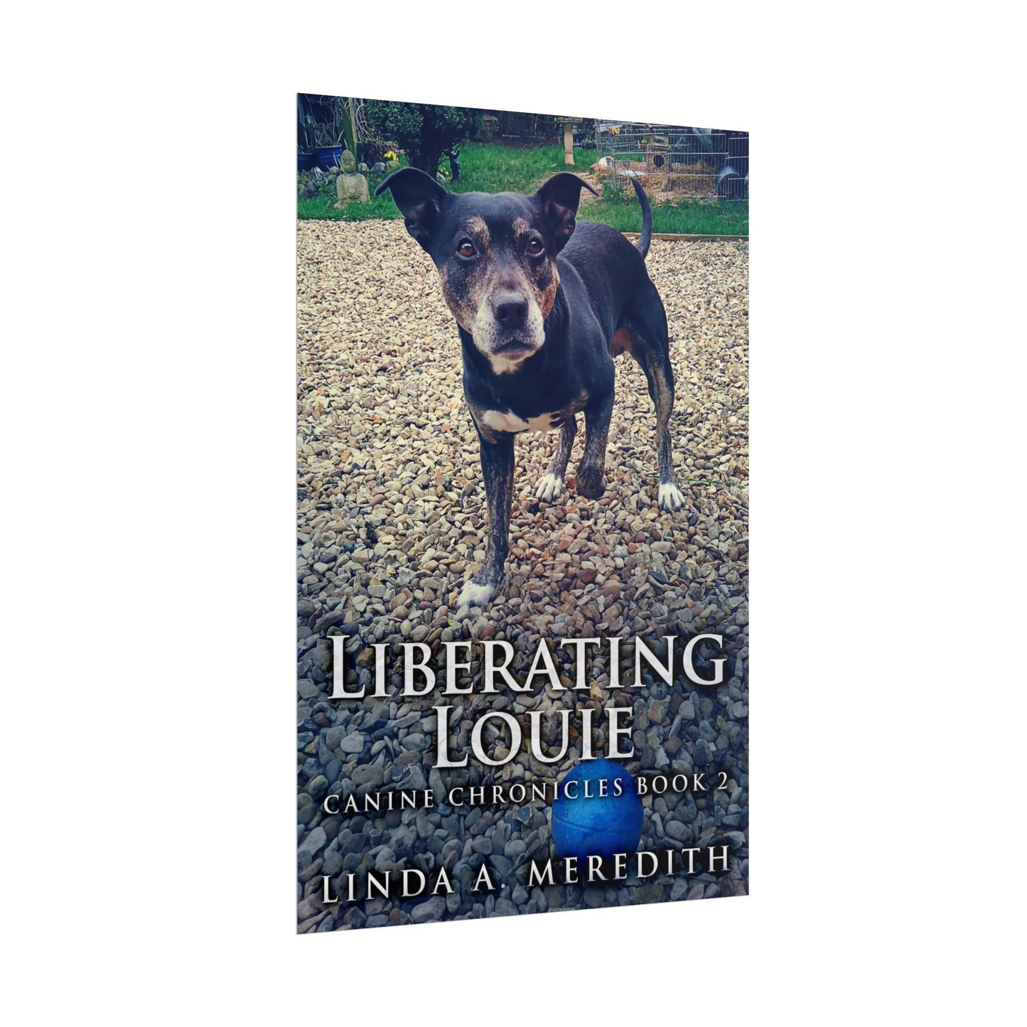 Liberating Louie - Poster