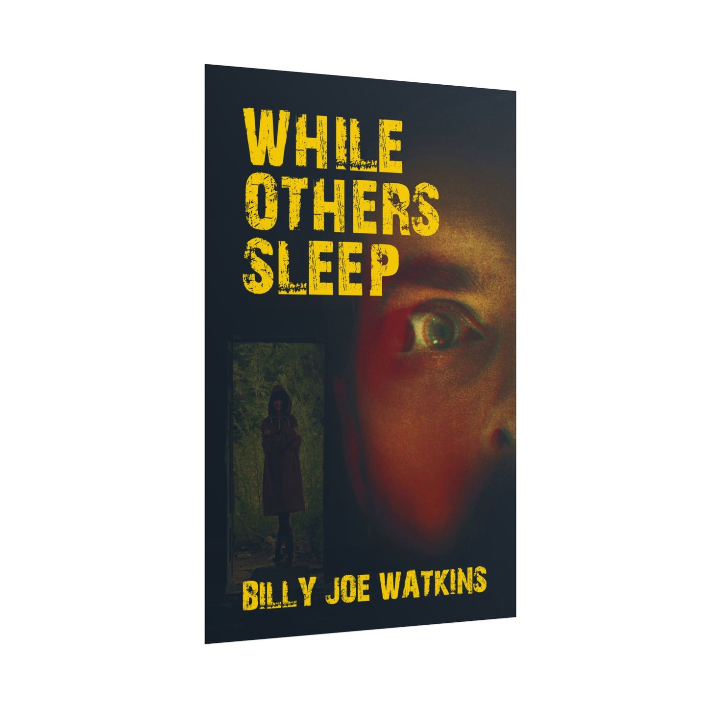 While Others Sleep - Poster