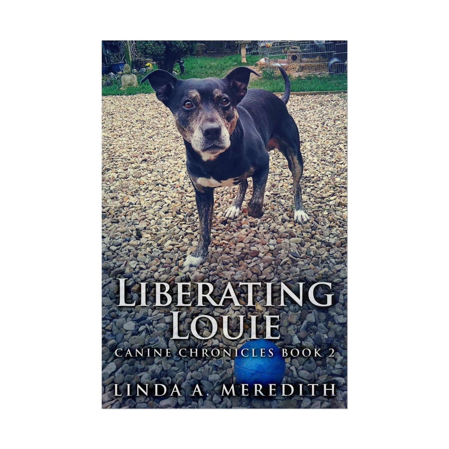Liberating Louie - Poster