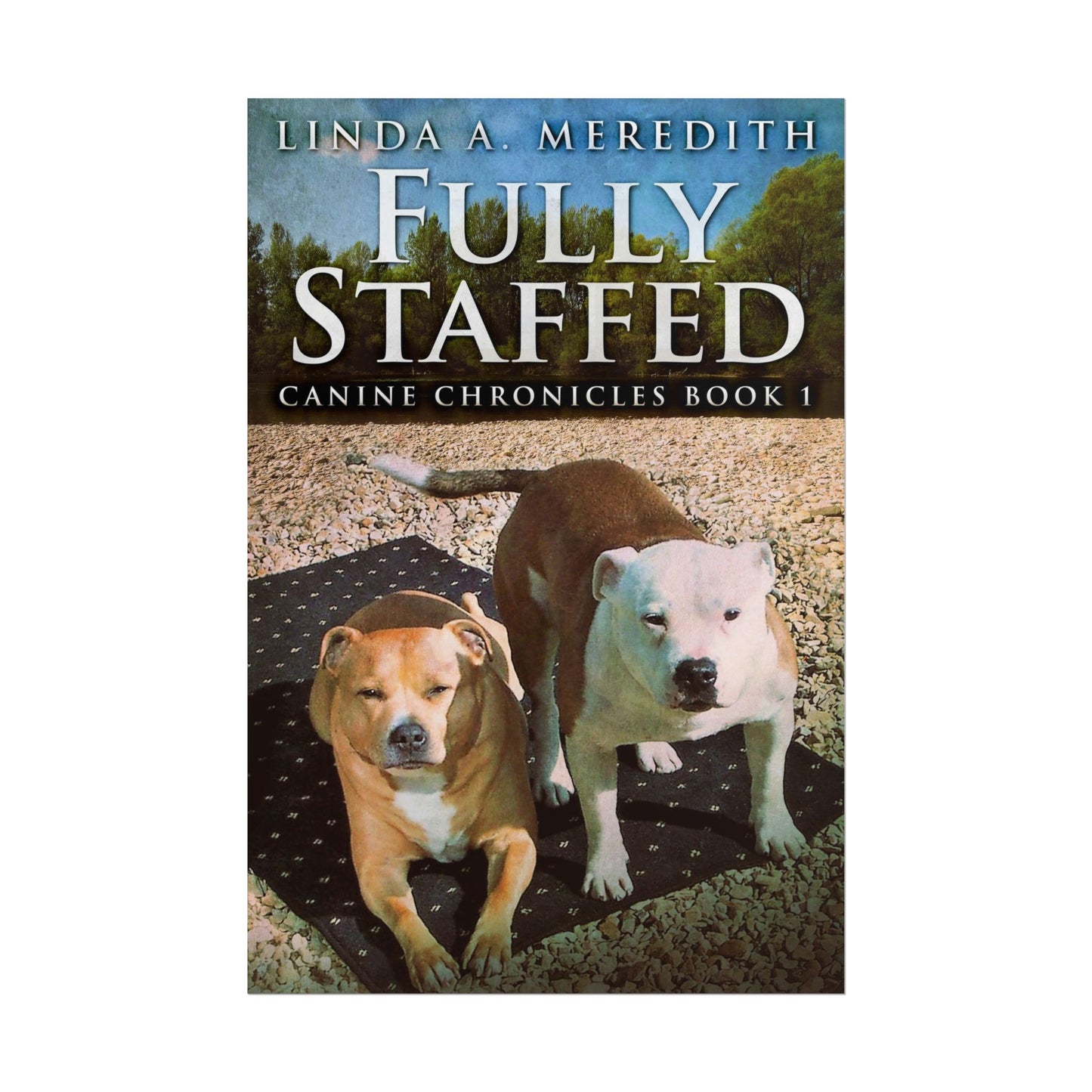 Fully Staffed - Poster