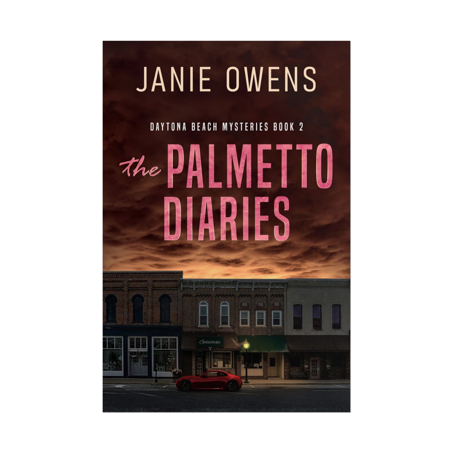 The Palmetto Diaries - Poster