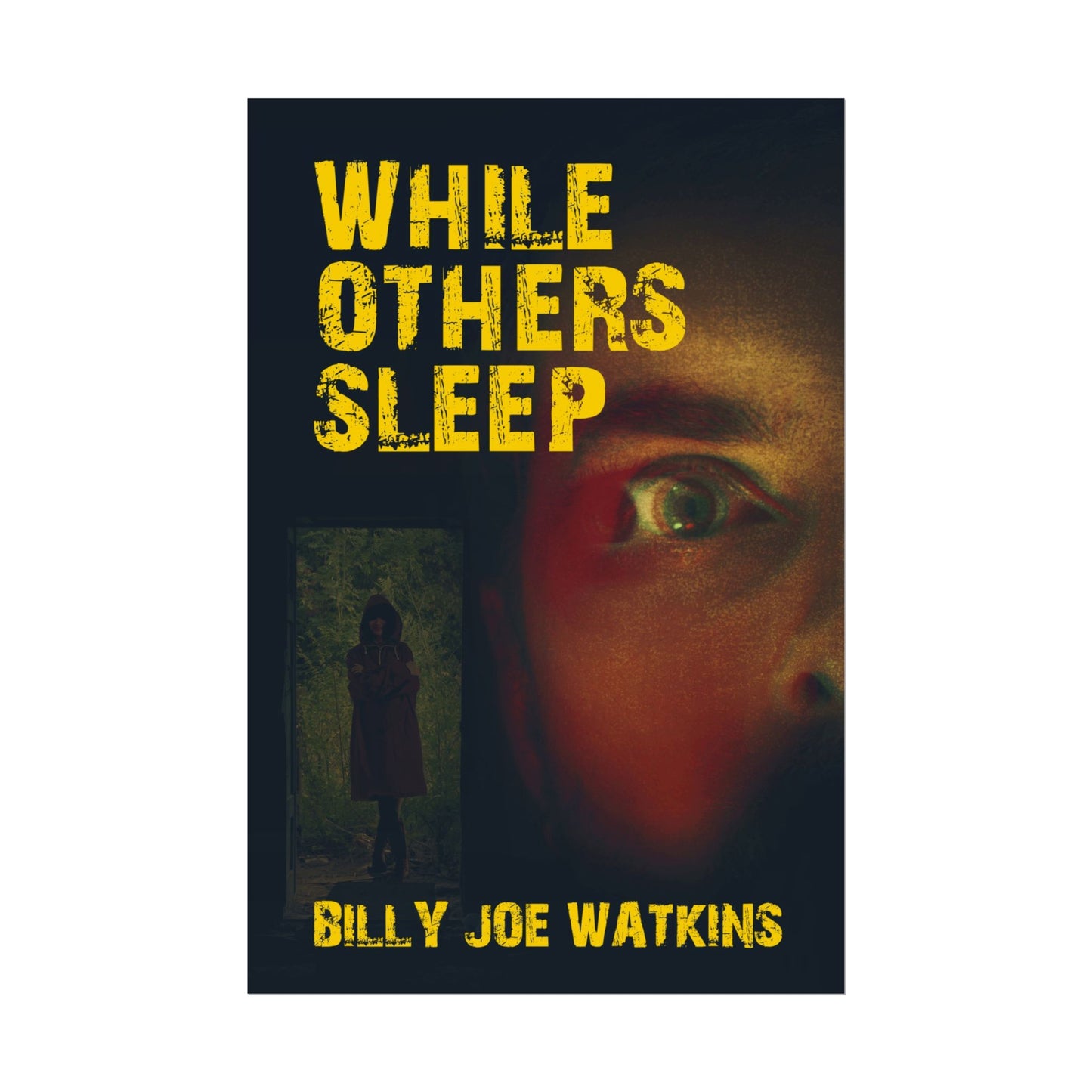 While Others Sleep - Poster