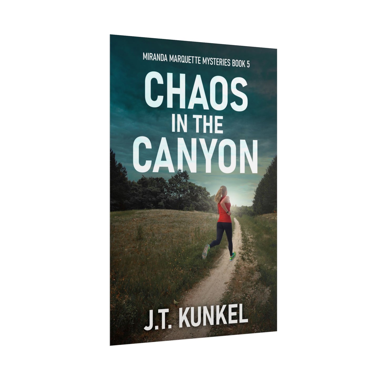 Chaos in the Canyon - Poster