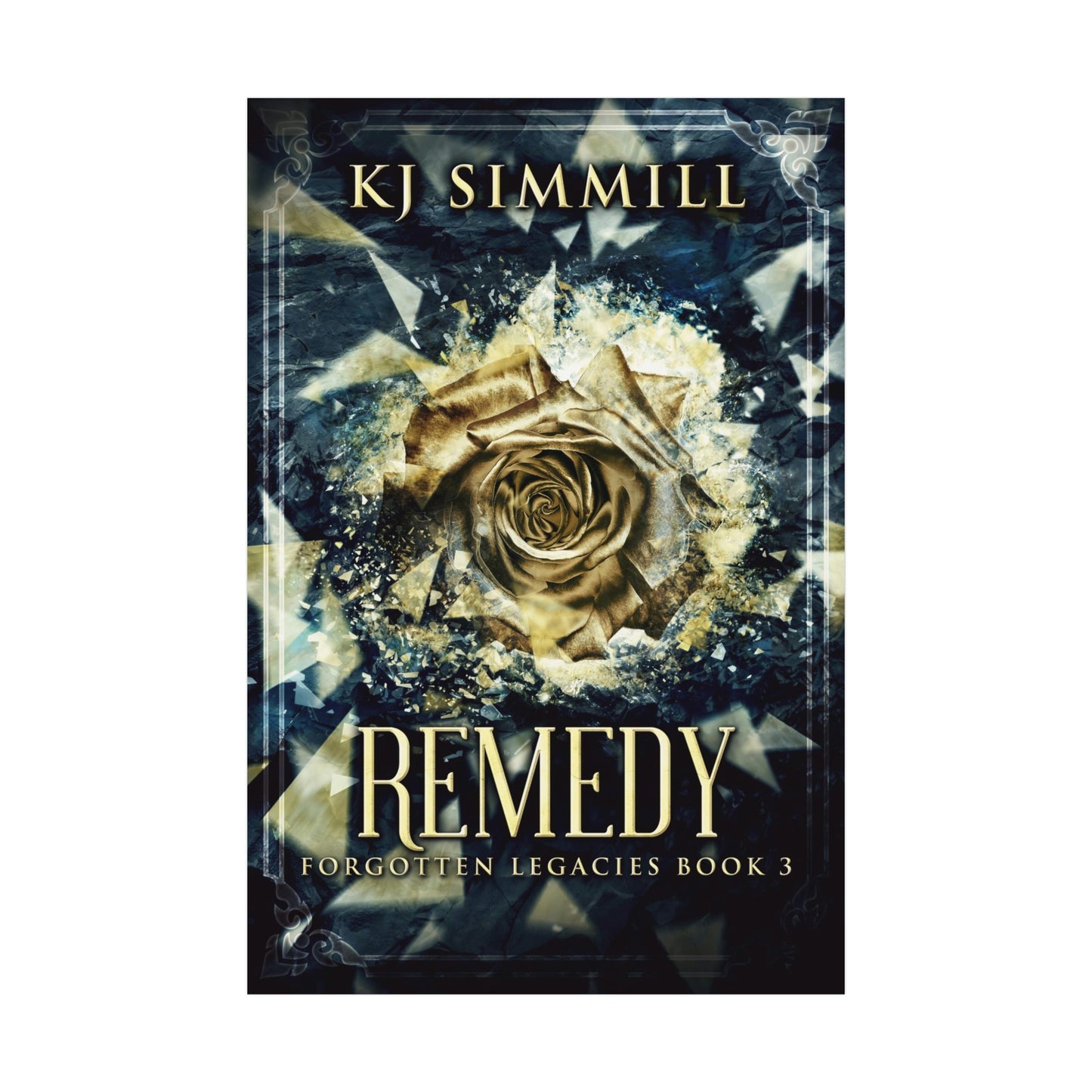 Remedy - Rolled Poster