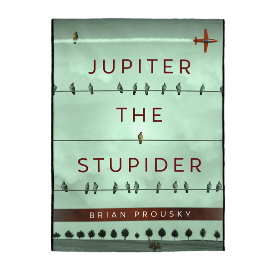 Jupiter the Stupider - Velveteen Plush Blanket