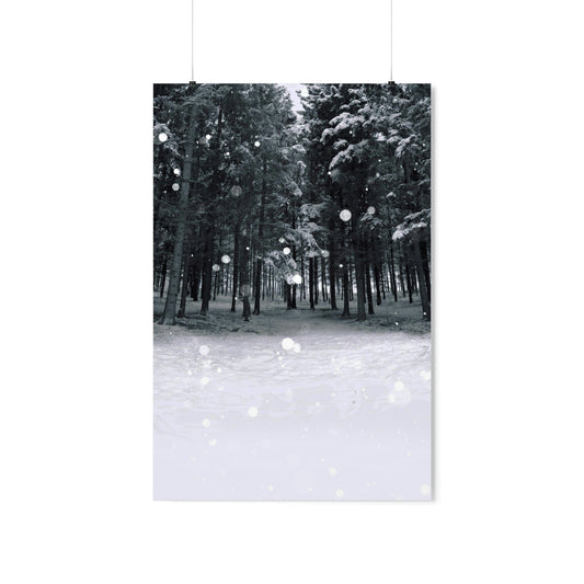 The Winter Forest - Matte Poster