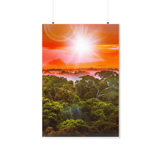 The Rainforest - Matte Poster